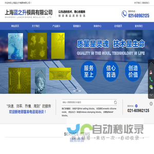 上海蓝之升模具有限公司