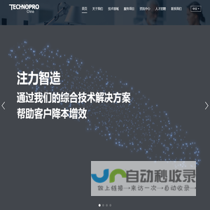 专业的技术人才解决方案