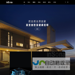 帝斯曼DSM