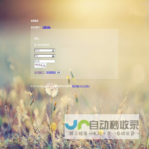 乘浪网络二号