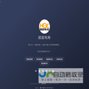 皓宸电商