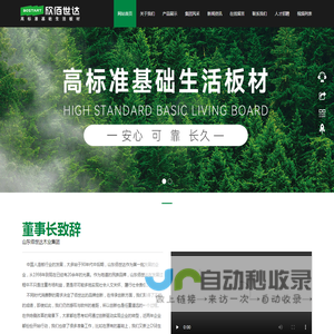 山东佰世达集团