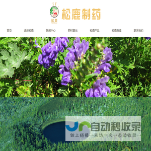 松鹿制药