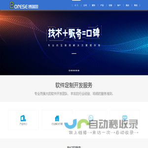 软件开发