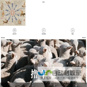 起名小程序
