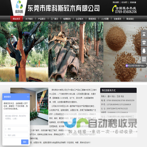 软木板