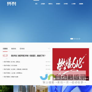 丽彩集团网站