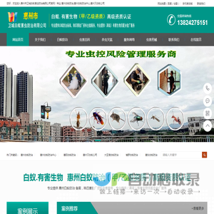 惠州白蚁防治