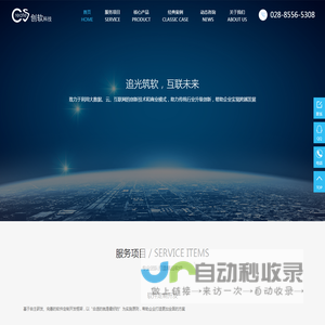 软件开发公司