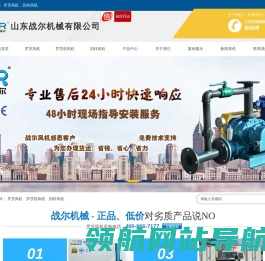 罗茨风机