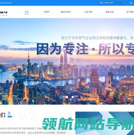 山东气库电子信息科技有限公司