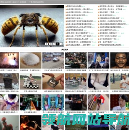 搞笑图片