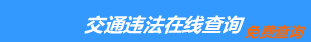 （手机版）保定交通违章查询