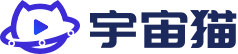 洞察猫