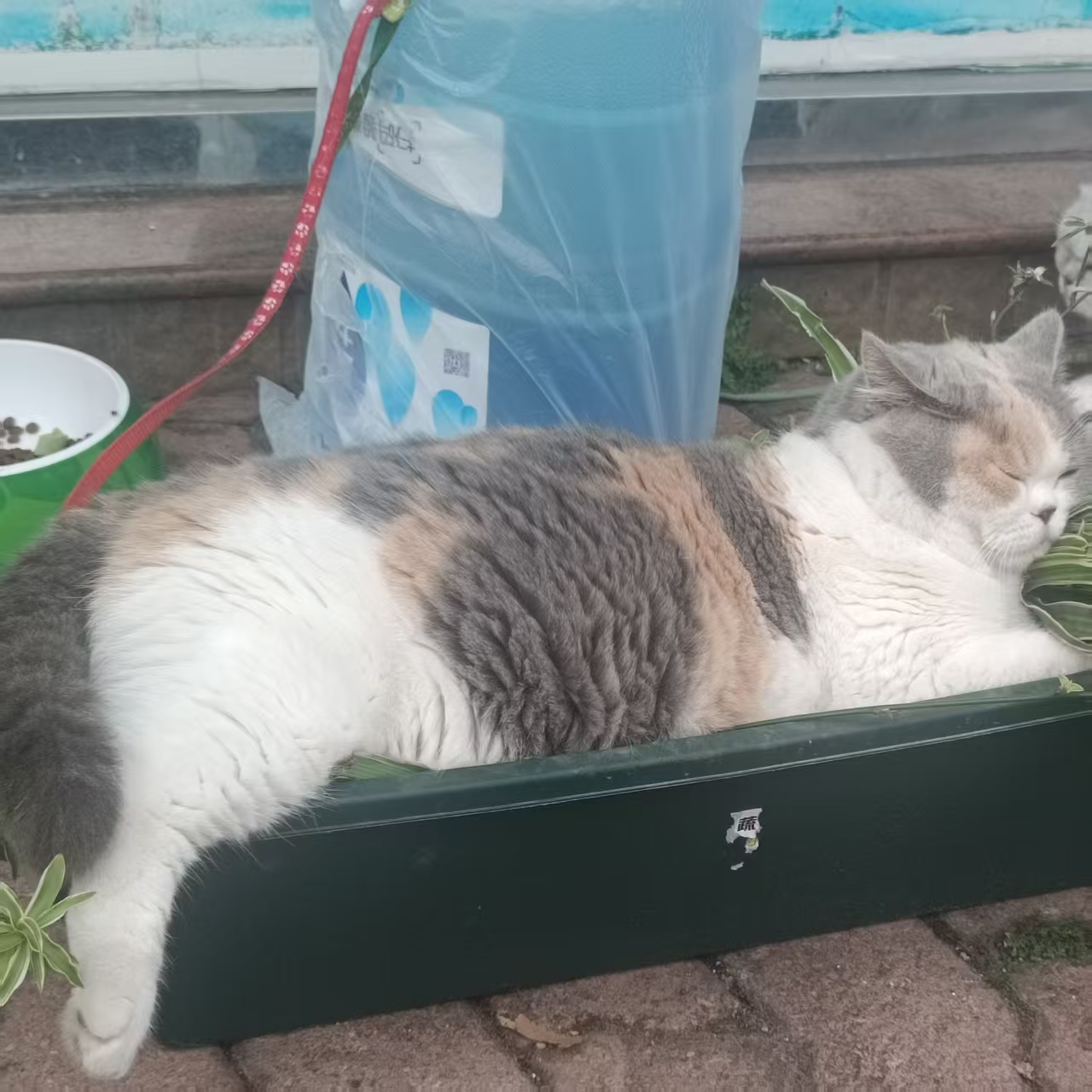 首页