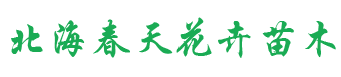 大连北海春天花卉苗木有限公司