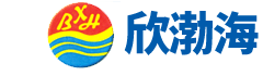 对焊法兰