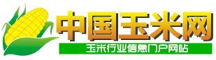 玉米网