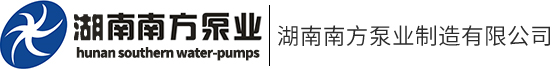 湖南双吸泵