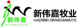 澳门游戏网站