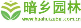 绿植租赁,花卉租摆,植物租赁,办公室花木租摆,租花,绿化养护,绿化租摆,花卉批发销售,除甲醛