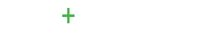 新鲜PLUS