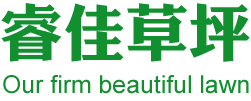沧州睿佳人造草坪有限公司