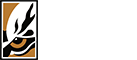上海数字孪生技术公司