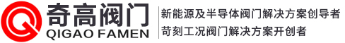 奇高新(氢)能源阀门