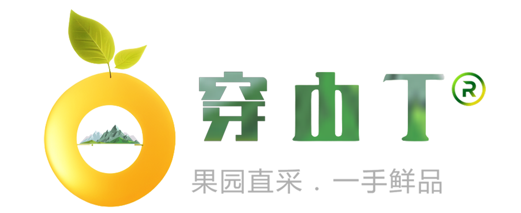 湖南怀化靖州杨梅