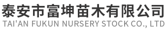 樱花基地