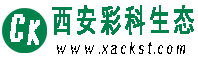 彩科生态瓦楞低温粘合剂