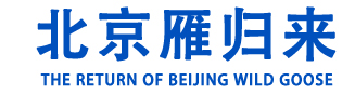 活性氧化铝,活性氧化铝干燥剂,活性氧化铝吸附剂,分子筛,分子筛厂家