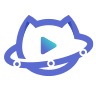 洞察猫