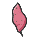红薯苗