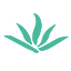 影约约拍