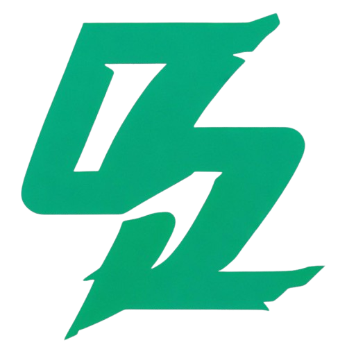 验号王