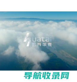 山东阳谷华泰化工股份有限公司