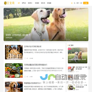 探索宠物生活