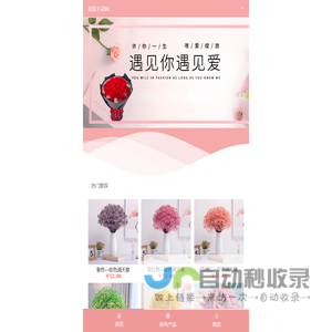 欣欣干花网