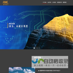 成都雷电微力科技股份有限公司