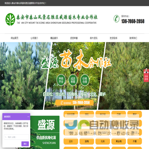 泰安市泰山风景名胜区盛源苗木专业合作社