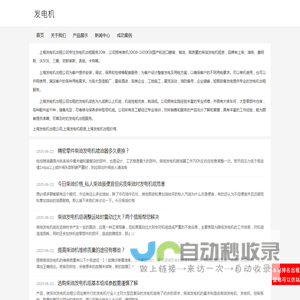 上海发电机出租