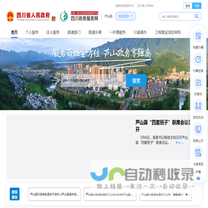 芦山县政务服务网