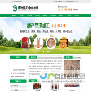 河南郑州登封鹿产品加工销售