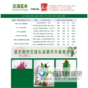 杭州绿植租赁