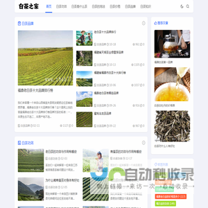 福鼎白茶