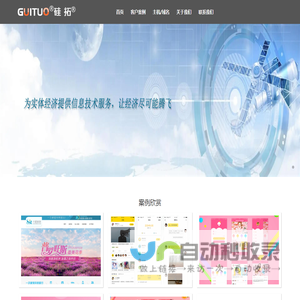 广西硅拓信息技术有限公司
