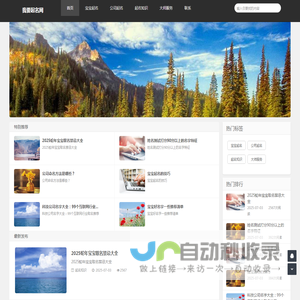 起名字