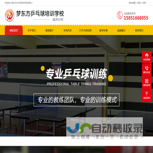 梦东方乒乓球培训学校